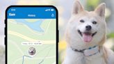 This GPS Pet Tracker Gives You Peace of Mind if Your Pup Has Wanderlust, & You Can Grab on for 40% Off