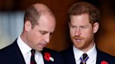 Prince Harry and William dealt heartbreaking blow as family member dies