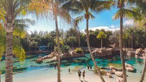 Medical Examiner’s Office: Girl, 13, found unresponsive in Discovery Cove pool accidentally drowned