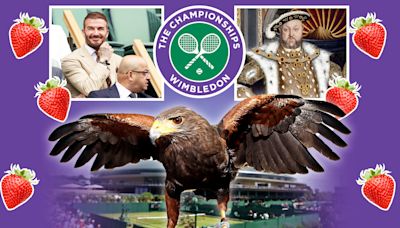 Seven secrets of Wimbledon from underground tunnels to the code word for celebs