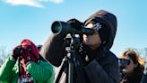 FEATURE: Birdwatcher Watching - Yale Daily News