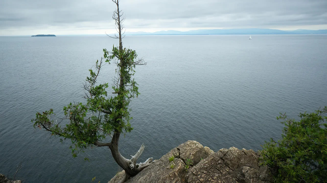 Underwater video reveals private jet that fatally crashed decades ago in Vermont's Lake Champlain