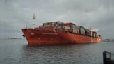 "Historic Day": Gautam Adani As Vizhinjam Port Welcomes First Container Vessel