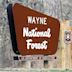 Wayne National Forest