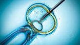 New hope as first-of-its-kind pill could increase the odds of IVF success
