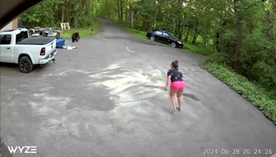 Bear chases dog down Maple Grove driveway: Video