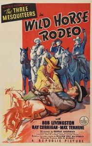 Wild Horse Rodeo