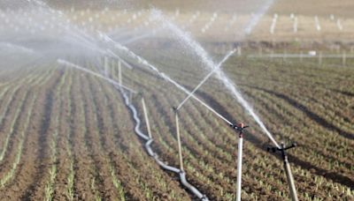 Un estudio de la UCO asegura que el sistema de cuotas es más eficaz que subir la tasa del agua a los regantes