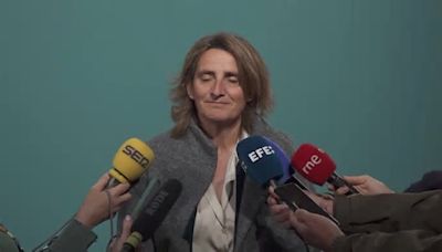 Teresa Ribera afirma que las denuncias falsas "no deben ser un motivo para dar marcha atrás"