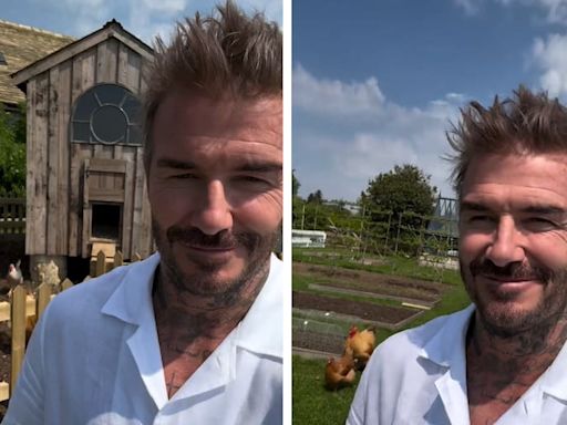 “Buenos días”: las enigmáticas seguidoras de David Beckham que su propia esposa le regaló