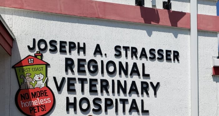 First Coast No More Homeless Pets to begin renovations at Norwood Clinic this summer