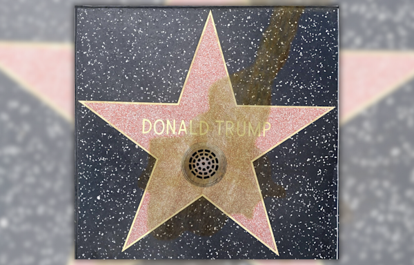 Fact Check: About That Claim That Trump's Hollywood Walk of Fame Star Had Drain Installed Because People Kept Peeing on It