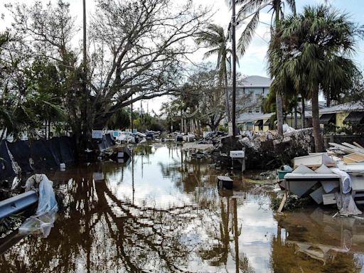 Milton impact: Beware of alligators, 3M lost in dark, 11 dead, devastating photos | 10 points hurricane update