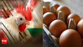 Chicken-or-egg riddle leads to murder in Indonesia; suspect arrested - Times of India