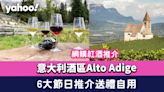 紅酒推介｜網購意大利酒區Alto Adige葡萄酒 6大節日推介送禮自用/美食配搭