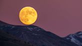 All About November's Full Moon and What It Means for Your Zodiac Sign