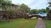 Cameron, Hidalgo Counties declared areas of disaster after Tropical Storm Alberto