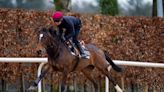 Ylang Ylang Ready to Rebound in Epsom Oaks