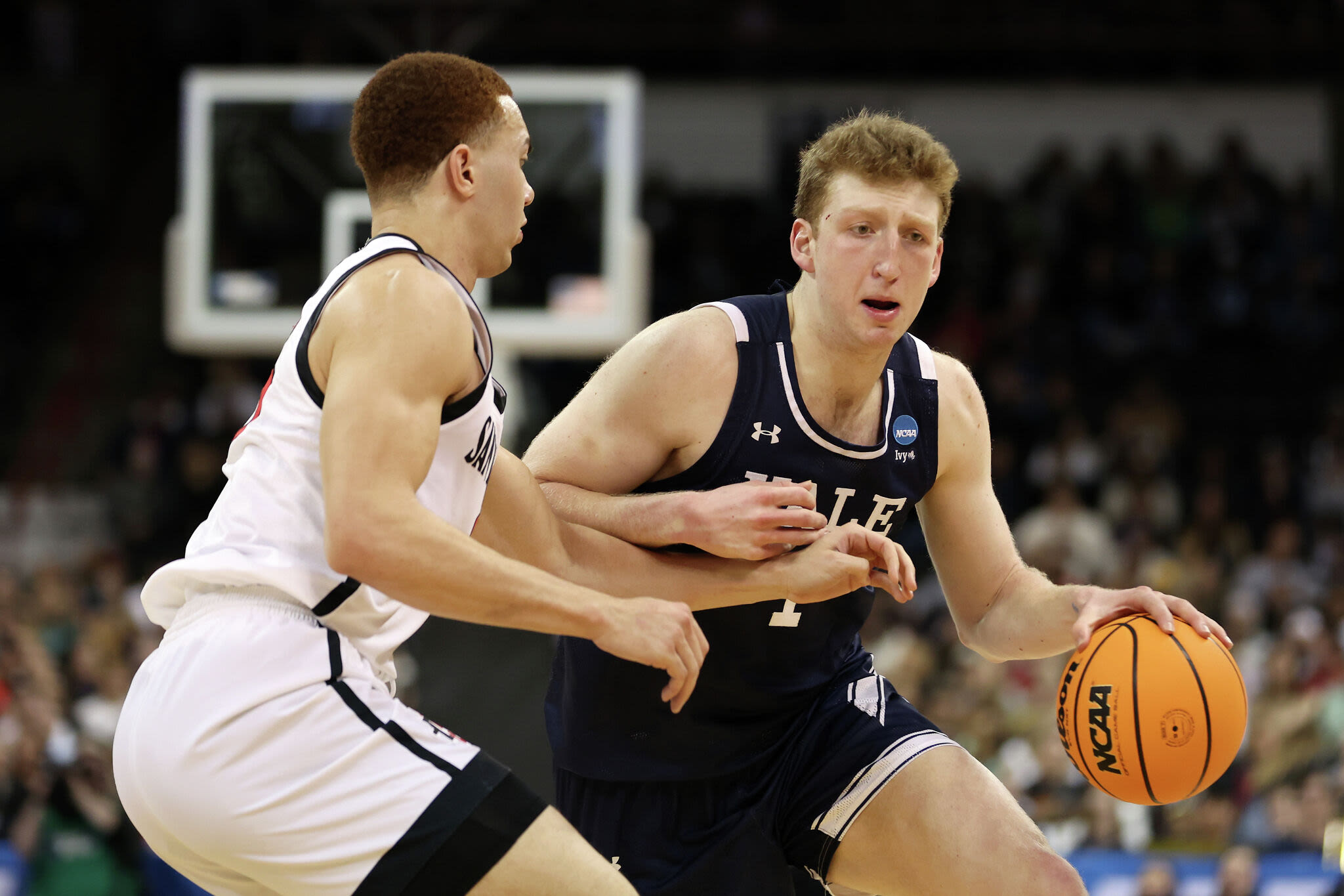 Yale men's basketball standouts Danny Wolf, Matt Knowling transfer to Michigan, USC