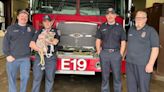 New York firefighter adopts puppy he helped rescue after she was hit by a car: 'I’d love to take her'