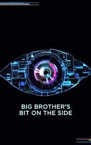 Big Brother's Bit on the Side