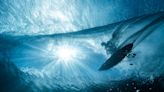 In Tahiti’s Waters, an Ocean Photographer Follows Big Waves