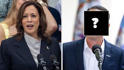 18 People Got Incredibly Candid About Who They Think Would Make A Winning Ticket As Kamala Harris' Potential VP