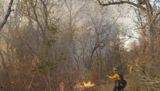 Bolivia bate récord de registro de focos de calor con 11.576 casos - El Diario - Bolivia