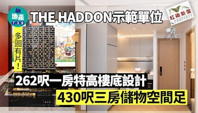 THE HADDON示範單位｜262呎一房特高樓底設計 430呎三房儲物空間足｜紅磡新盤