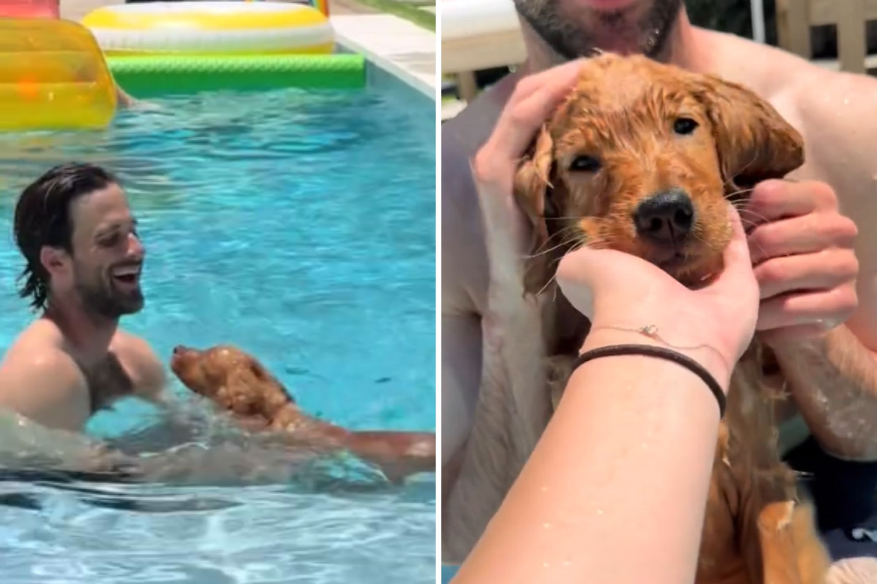 Golden retriever puppy swims for first time, her reaction is everything