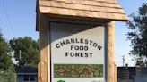 Charleston Food Forest to hold weekly guided tours