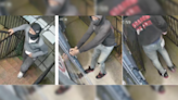 DC police seek suspects involved in Northwest burglary