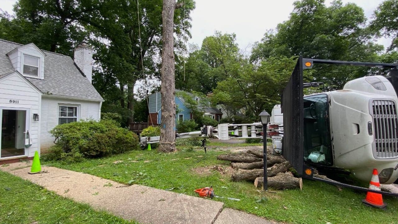 Worker dies in tree removal accident in Silver Spring