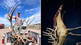 Hunter's Giant 8x8 Bull Elk Could Break New Mexico State Record