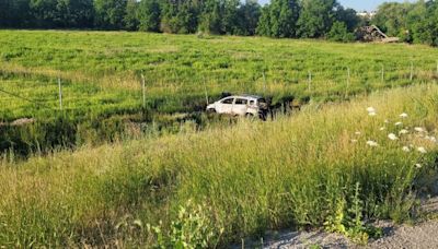 14-year-old crashes parents' car, leaves it in flames in a ditch on Hwy. 401 in Mississauga: OPP