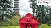 Marc Quinn: Light into Life, Kew Gardens: an alfresco treasure-hunt of sculptural delights