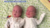 Nurses taking care of 7 sets of twins at local hospital