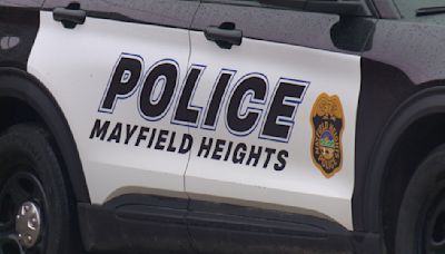 10 juveniles arrested by Mayfield Heights police after fights break out at St. Clare Festival in Lyndhurst