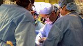 In a first, surgeons successfully transplant a pig kidney into a man