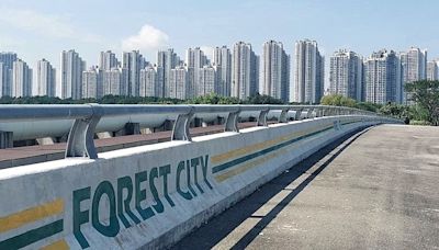Forest City to regain popularity after becoming duty-free island - News