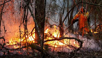 Brazil experiencing record-breaking wildfires as persistent drought affects the Amazon rainforest