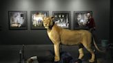 Renowned artist confronts destruction of African wildlife in latest art show