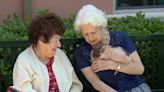 Roseville senior living community enjoys petting zoo animals
