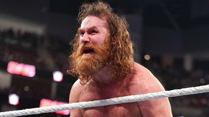 WWE Hall Of Famer Praises The Work Sami Zayn Does In The Ring - PWMania - Wrestling News