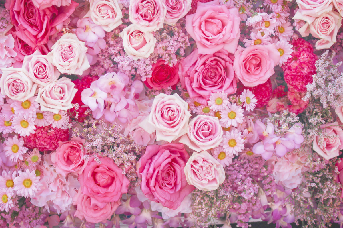 25 Types of Pink Flowers To Brighten up Your Garden