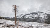 Logging in Canada’s Most Famous National Park to Save It From Wildfires