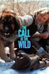 The Call of the Wild: Dog of the Yukon