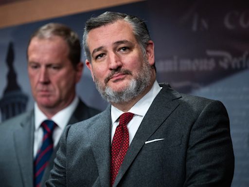 Ted Cruz's leaked donor docs show how money in politics really works