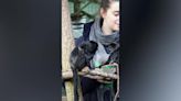 Monkey the size of golf ball born at Newquay Zoo