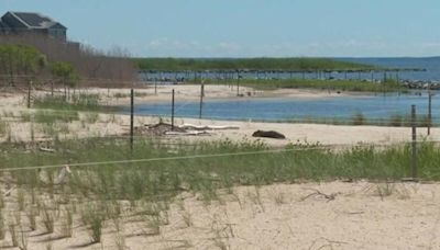 Newly completed living shoreline will help preserve shrinking shoreline at Franklin Point State Park